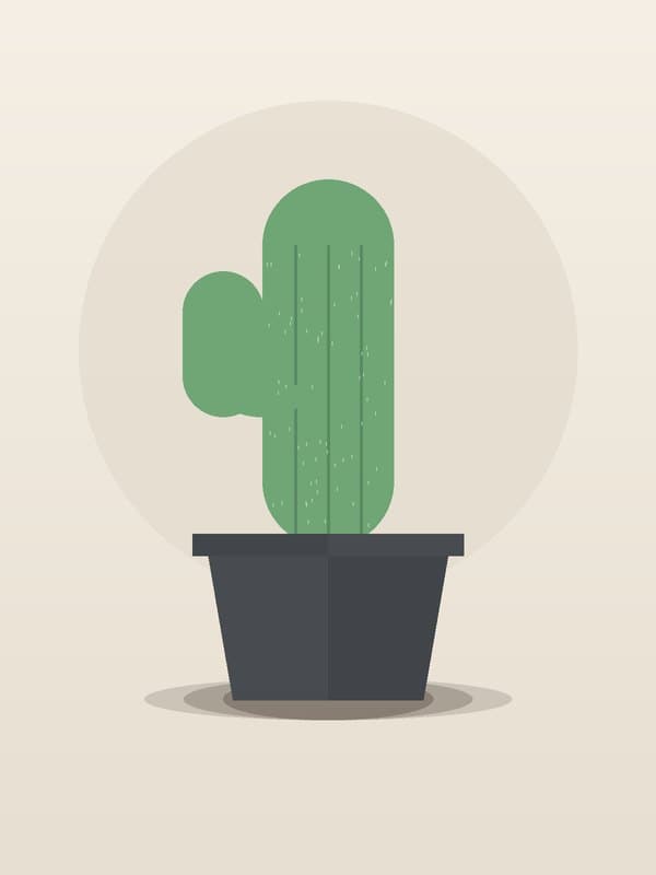 Prickly Pear Cactus — wholesale cactus, 6in